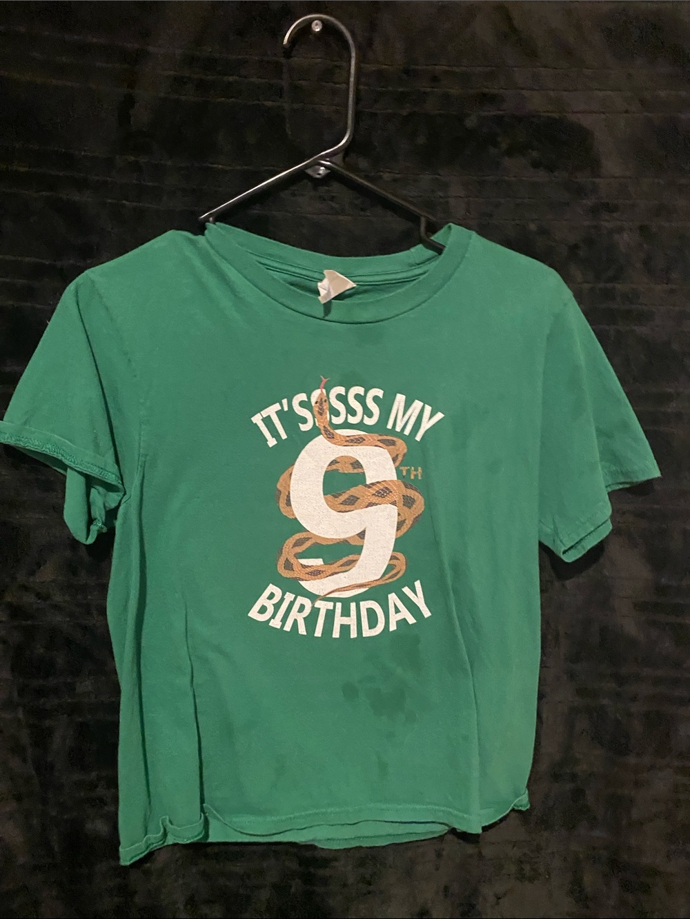 9th birthday snake shirt